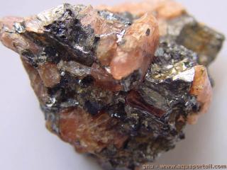 bustamite