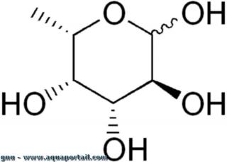 fucose