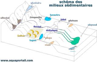 Les milieux sdimentaires (schma)