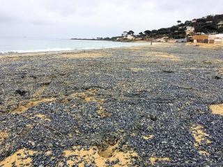 Des vlelles choues sur une plage  Sainte-Maxime