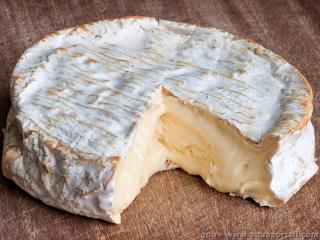 Le fromage au lait cru contient des protines animales (ici un Coulommiers)