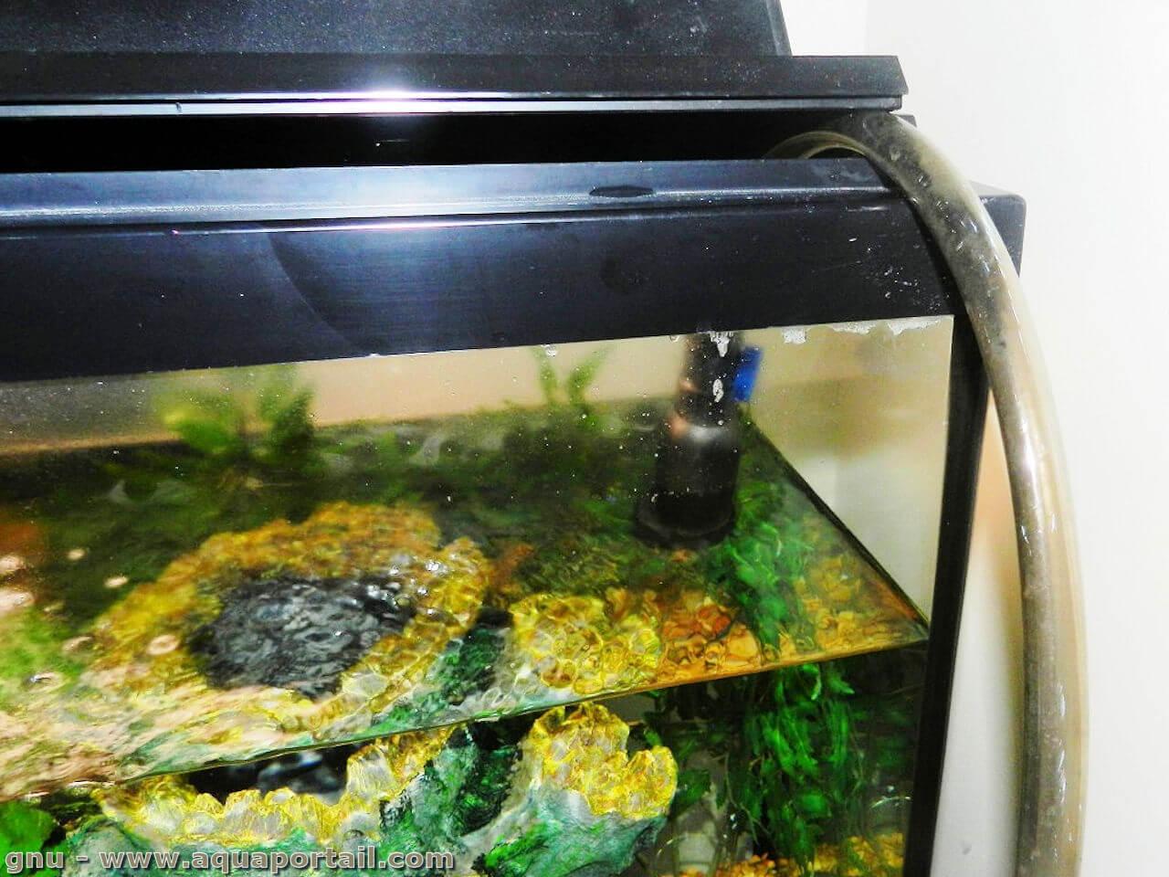 A quoi sert une pompe à air d'aquarium?