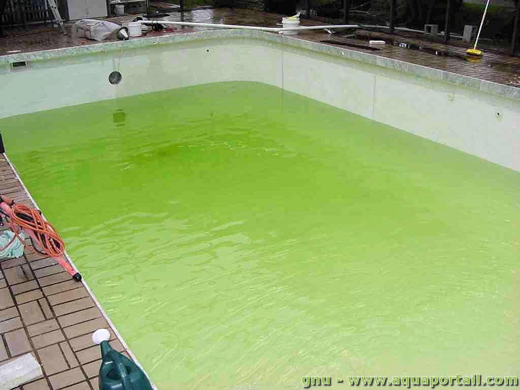 Eau Verte Piscine Javel