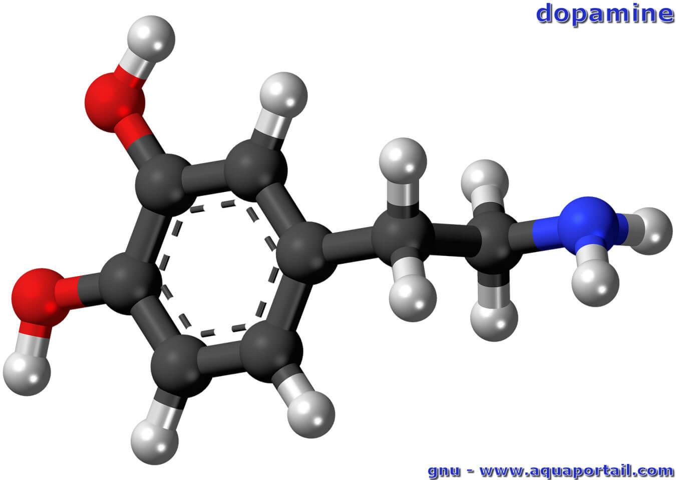 Dopamine : définition et explications