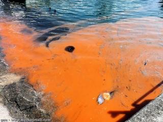mare rouge