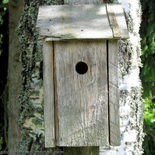 Un nichoir pour oiseaux