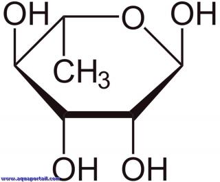 Molcule de L-rhamnose