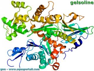 Gelsoline (structure cristalline)