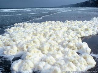 De l'cume blanche sur une plage