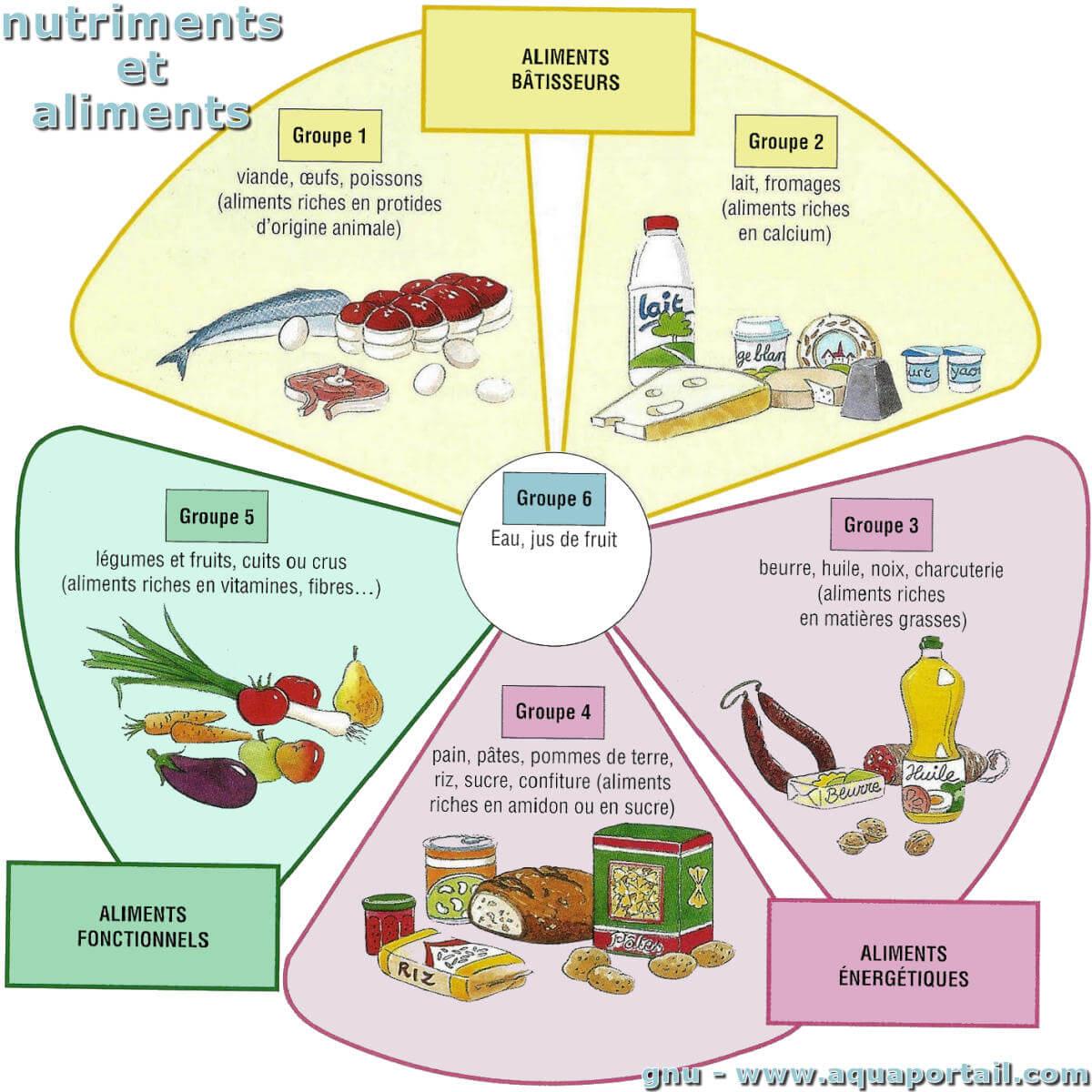 Nutriment : définition et explications