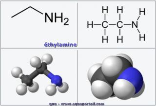 L'thylamine (molcule 2D et 3D)