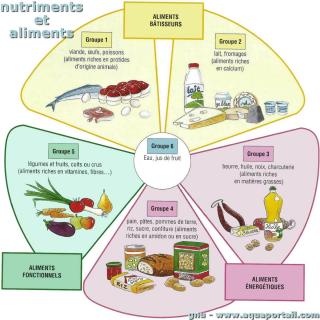 Sels minéraux : définition et explications