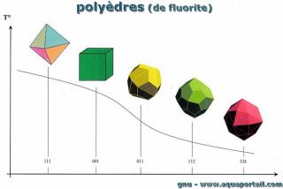 holodre