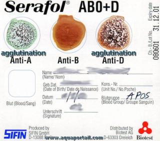 Test d'agglutination sanguine pour groupe sanguin