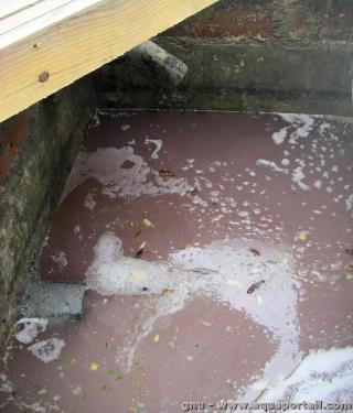 Des eaux grises dans un dcanteur