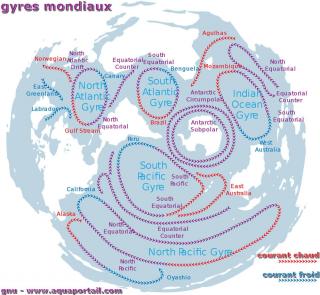 Carte mondiale de tous les gyres