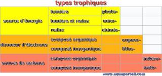 Les types trophiques (tableau)
