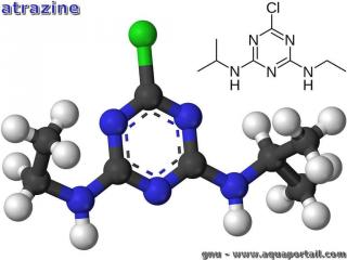 atrazine