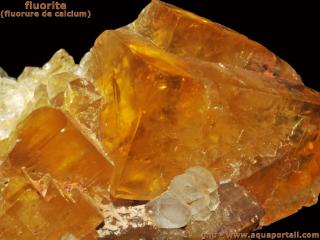fluorure