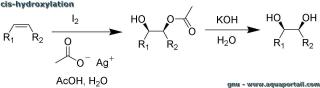 hydroxylation