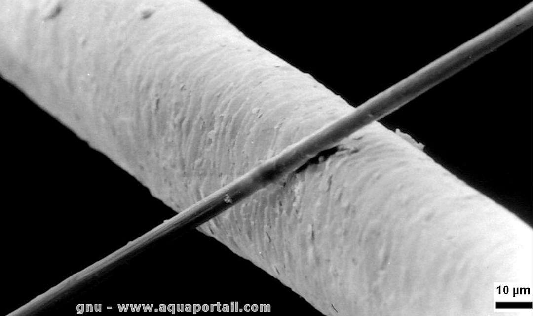 Micron D finition Et Explications micron-d-finition-et-explications