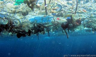 microplastique