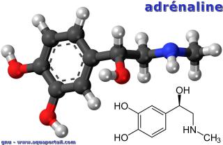 adrnaline