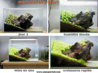 Un aquarium en méthode Dry Start