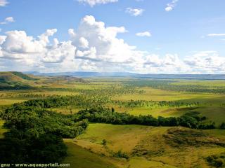 Des Llanos au Venezuela (La Gran Sabana)
