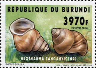 Sello de Burundi con Neothauma tanganyicense