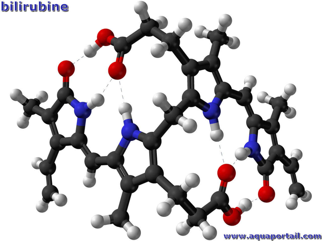 Bilirubine Definition Et Explications