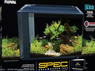 Le meilleur aquarium en 2020 en petit volume : le fluval spec 60 litres