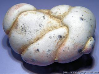 Bloc de mnilite (origine Maroc)
