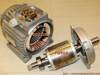Stator (partie fixe  gauche) et rotor (partie mobile tournante  droite)
