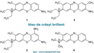 Bleu de crsyl brillant (4 structures)