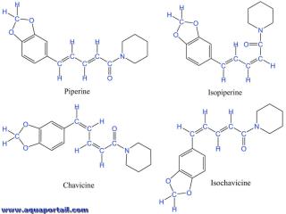Structure de piprine et chavicine (et isopiprine et isochavicine)