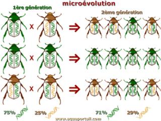 Microvolution