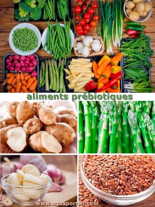 Aliments  prbiotiques