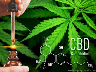 cannabidiol