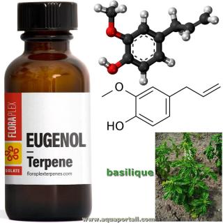 eugnol