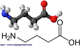 Structure GABA (acide gamma-aminobutyrique)