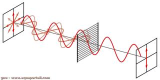 polarisation