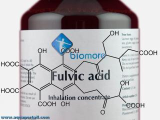 Acide fulvique : structure 2D et solution  inhaler