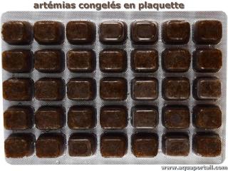 Des artmias congels en plaquette (blister) pour aquarium