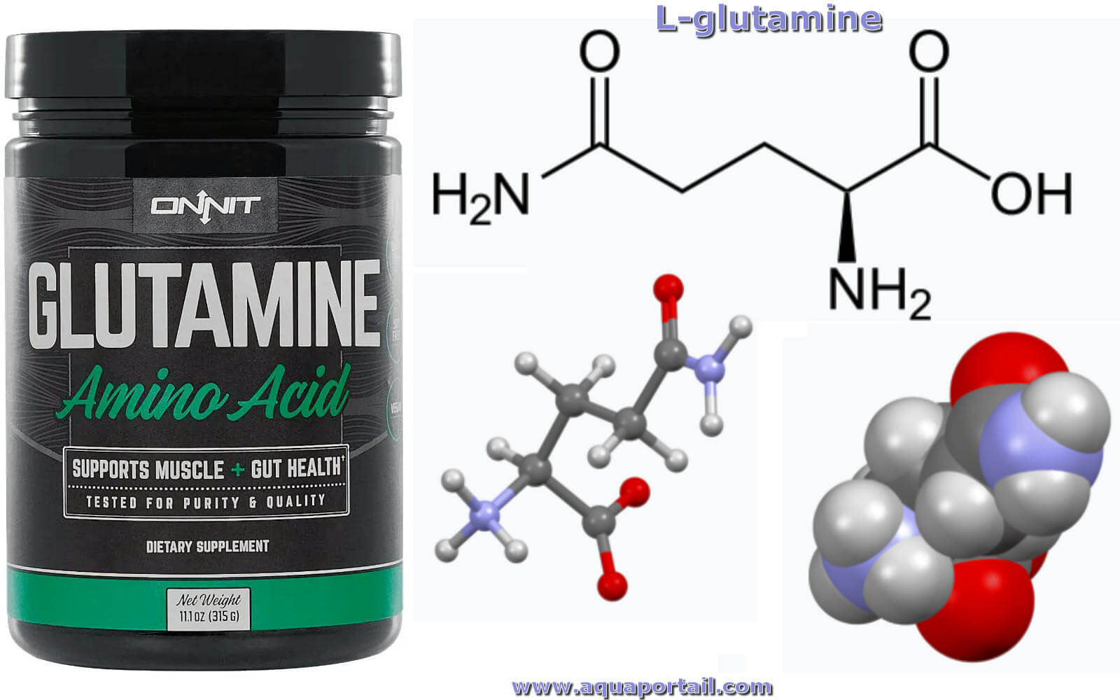 Glutamine : définition et explications