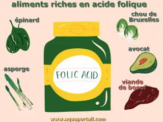 acide folique