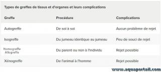 Les types de greffes : autogreffe, isogreffe, homogreffe, allogreffe ou xnogreffe