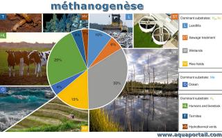 Mthanogense et source d'missions de mthane