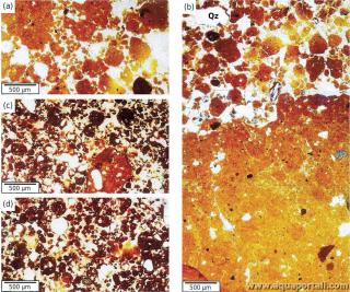 micromorphologie