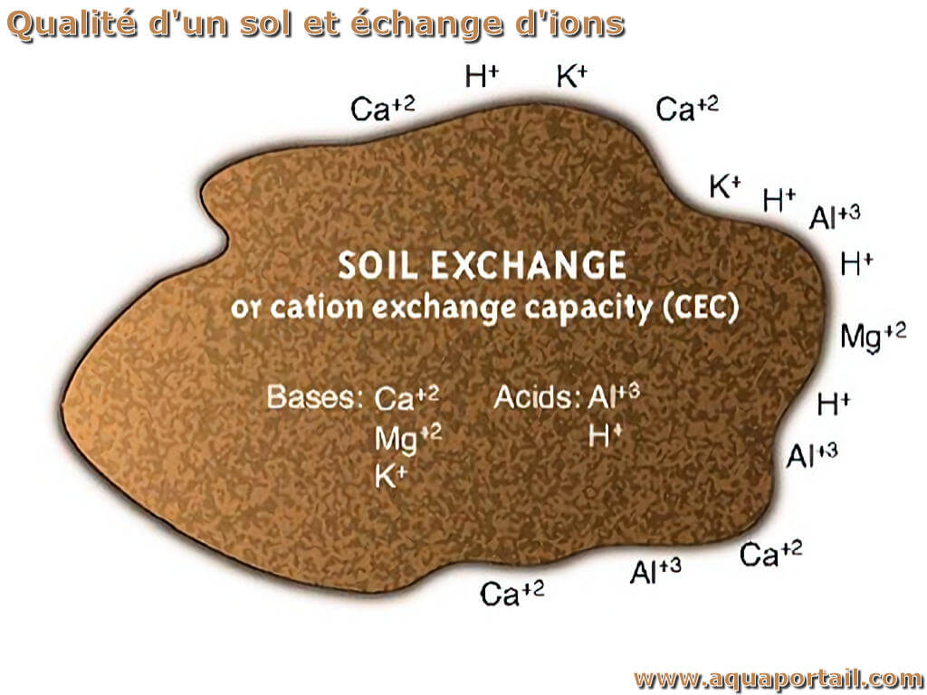 Structure du sol : définition et explications